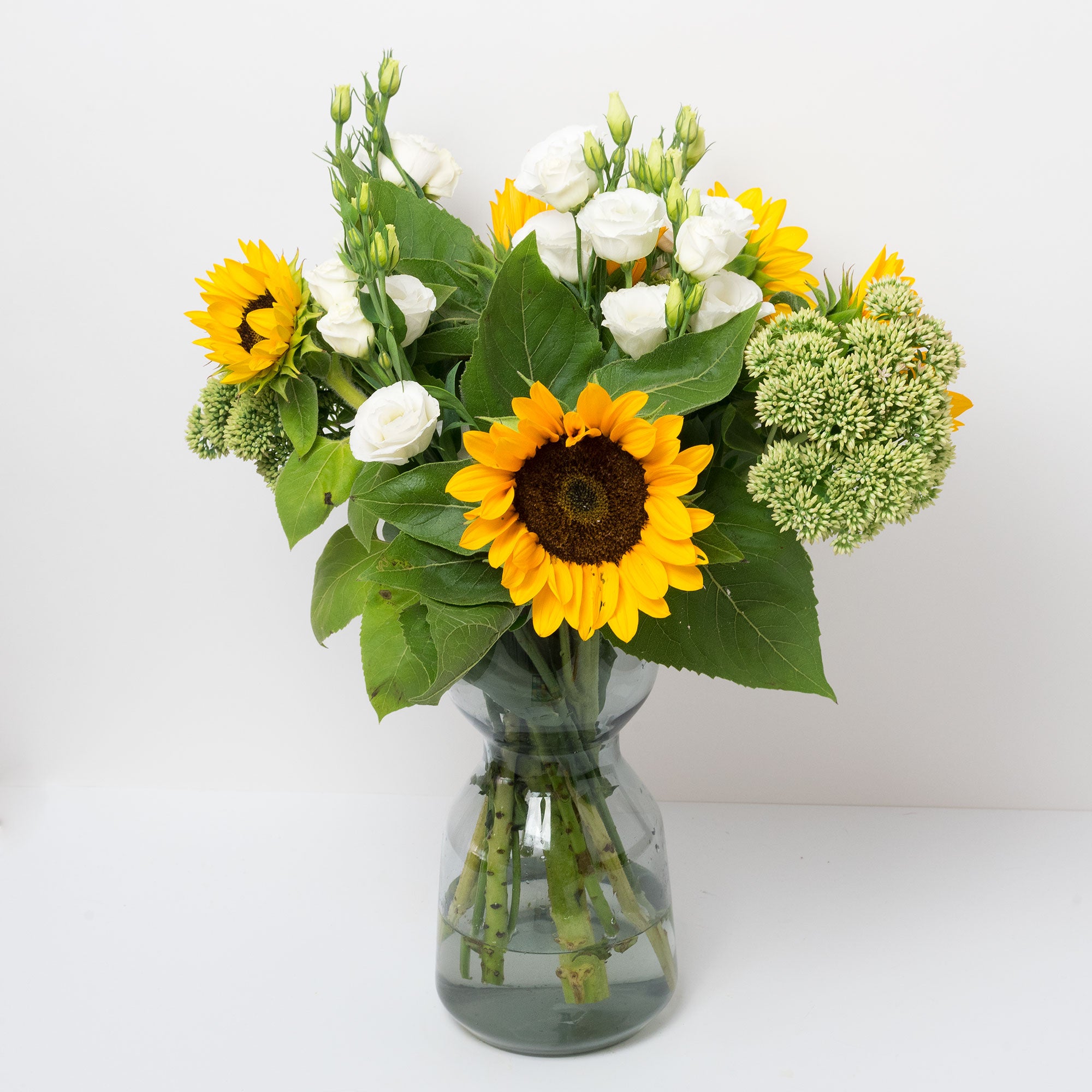 Pack Elegant Sunflower