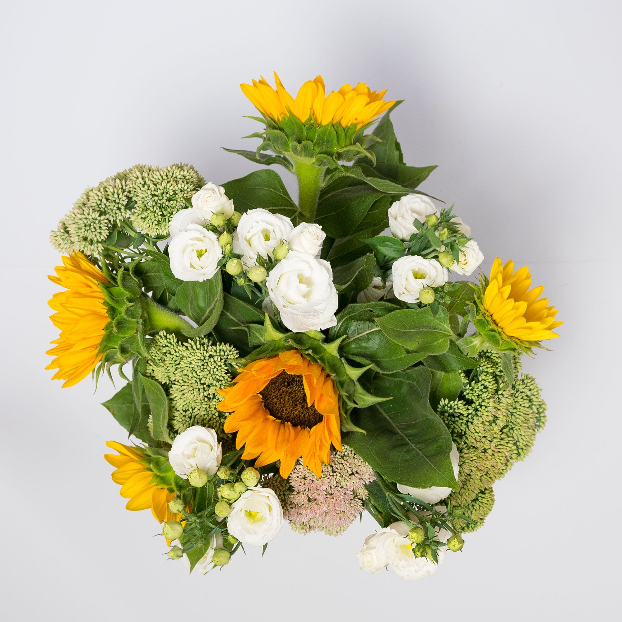 Pack Elegant Sunflower