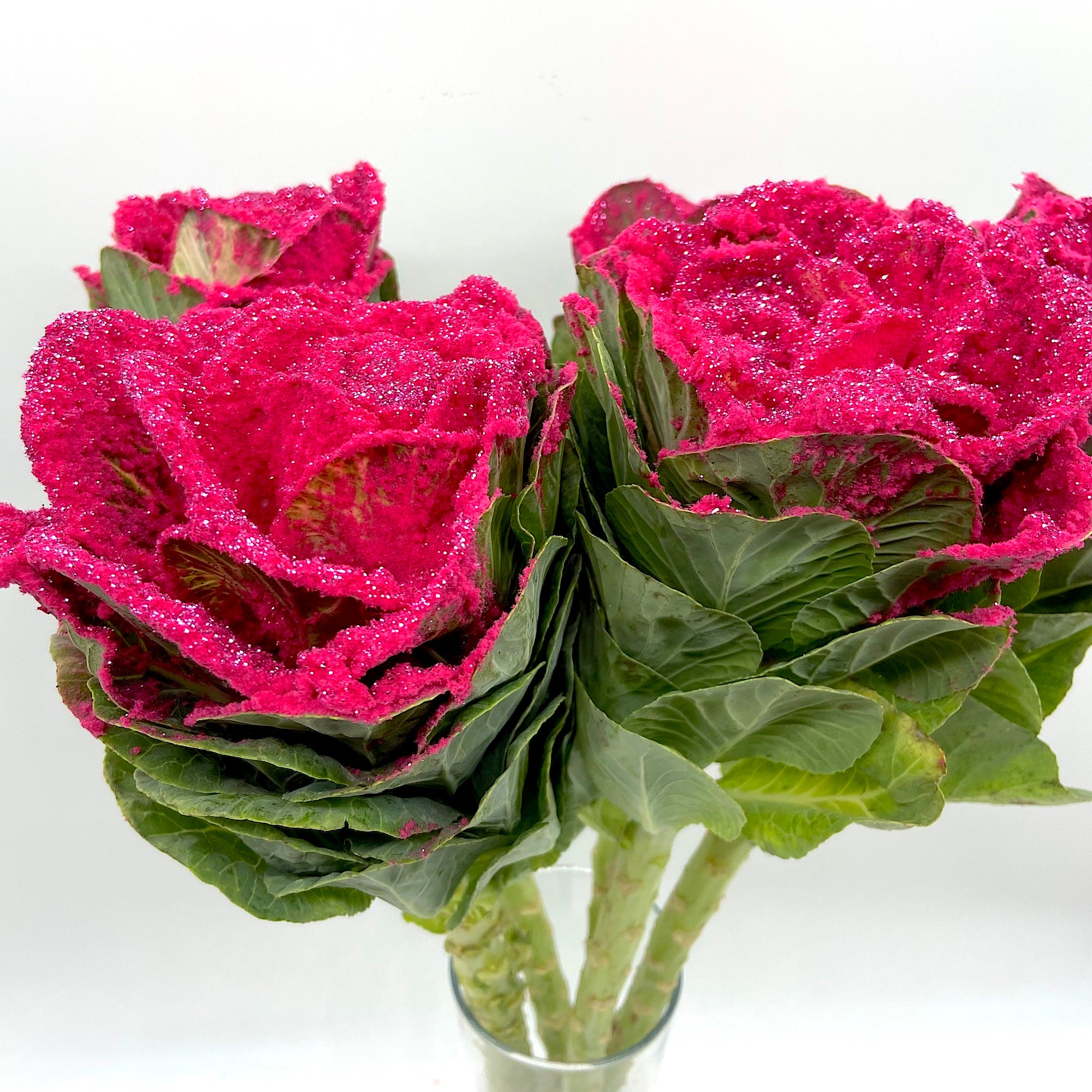 Brássica Cherry Snow