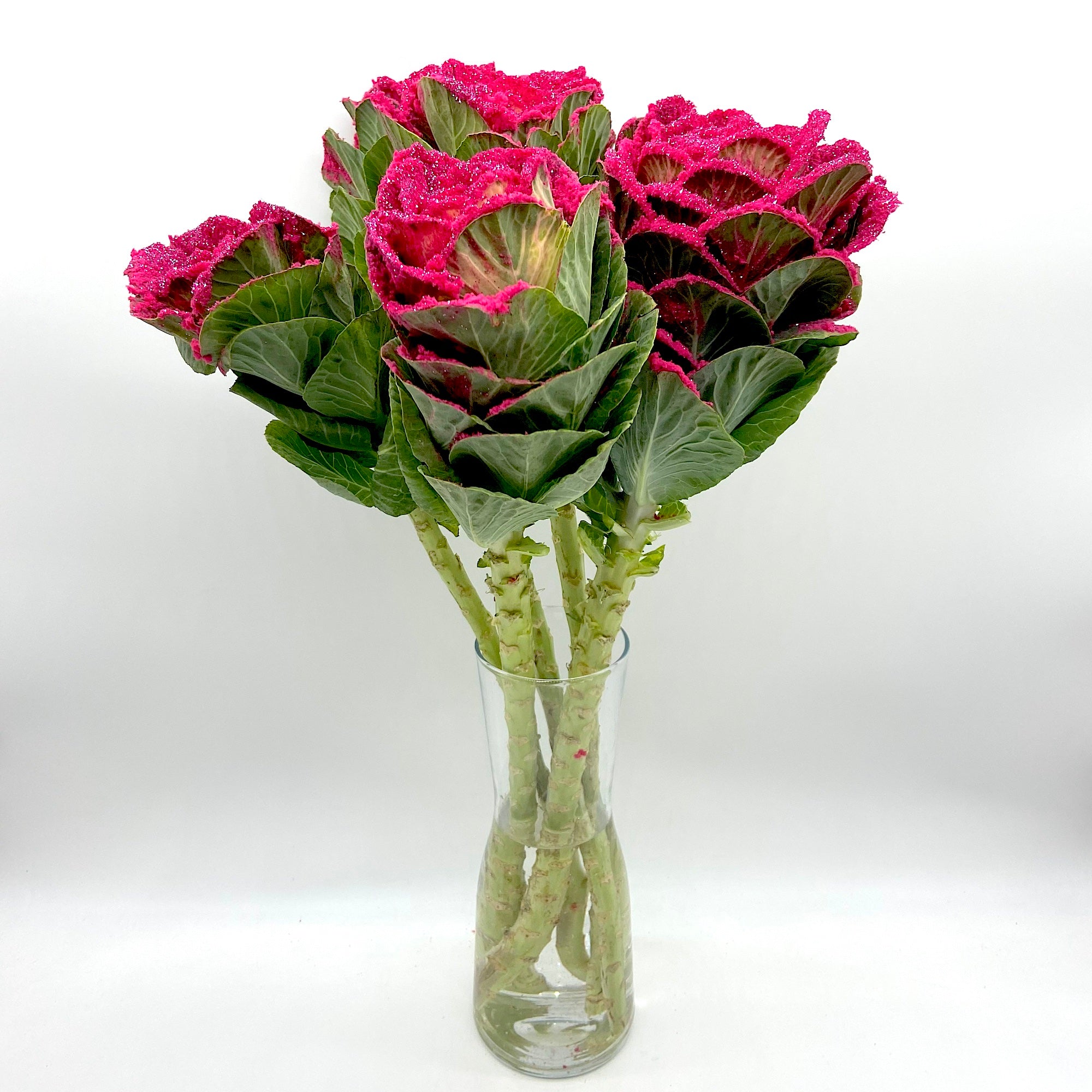 Brássica Cherry Snow