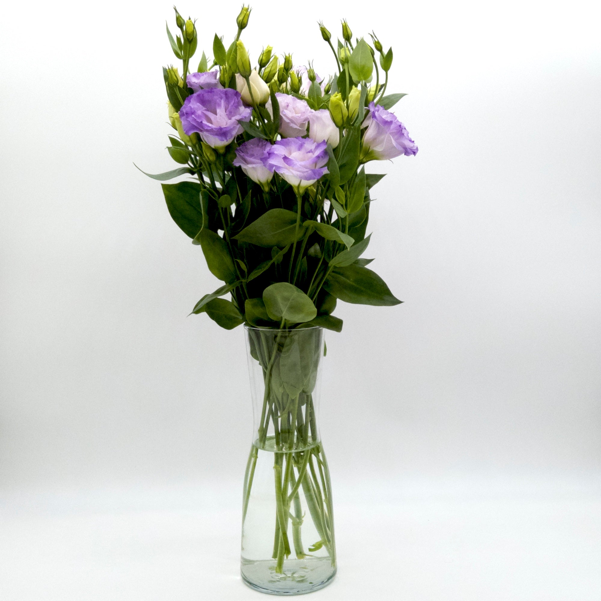 Lisianthus Graffiti Blue
